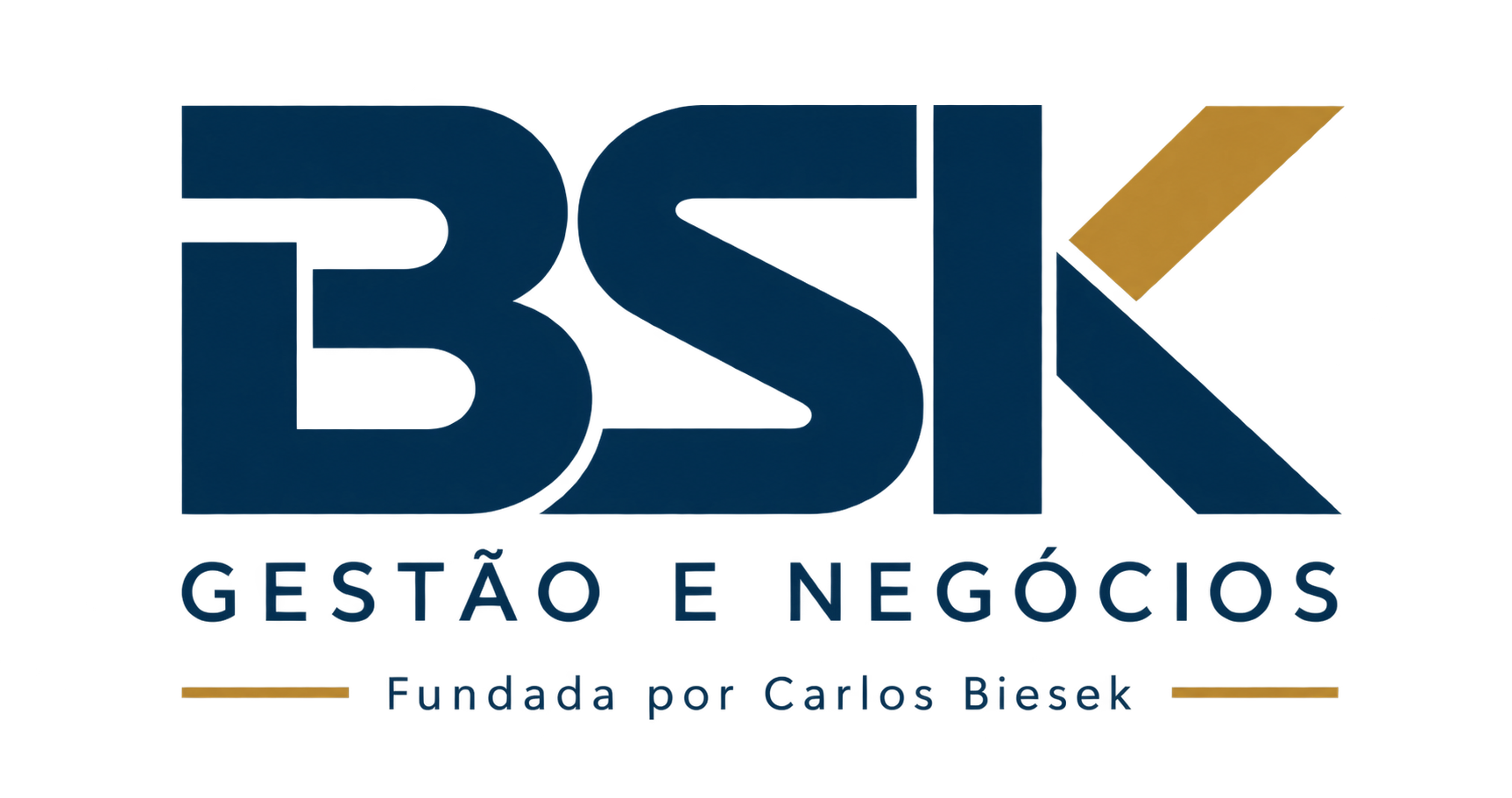 BSK Gestão e Negócios — Fundada por Carlos Biesek